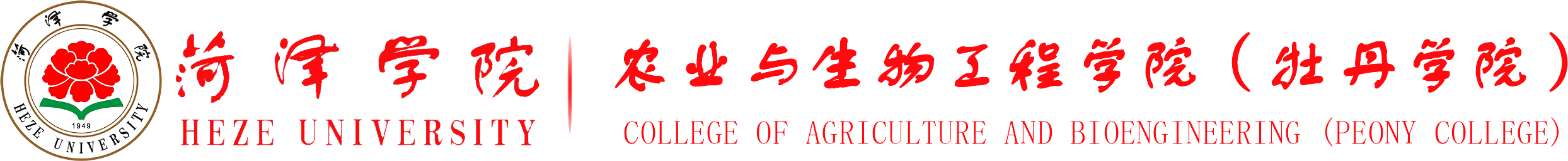 BV伟德官方网站